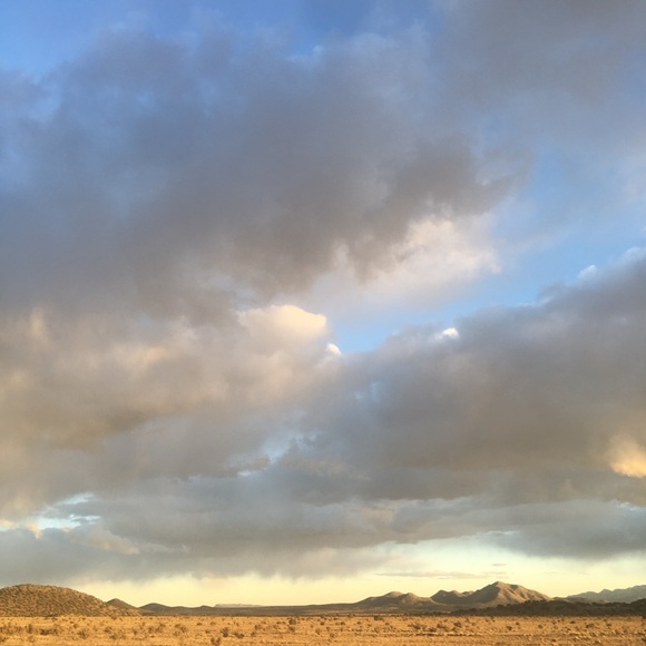 Meet your Posher, JM . - Picture 3 of 6